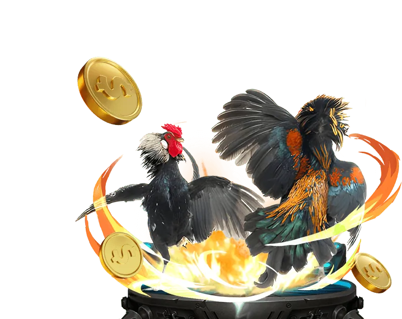 Bảng Kèo Cược Đá Gà Đa Dạng Tại 10bet